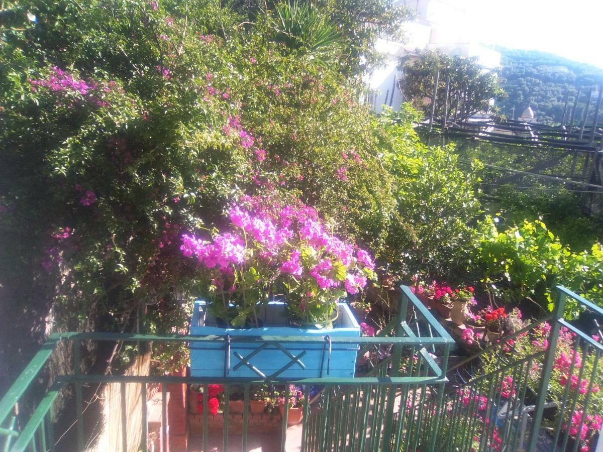 Isabella Massalubrense Βίλα Massa Lubrense Εξωτερικό φωτογραφία